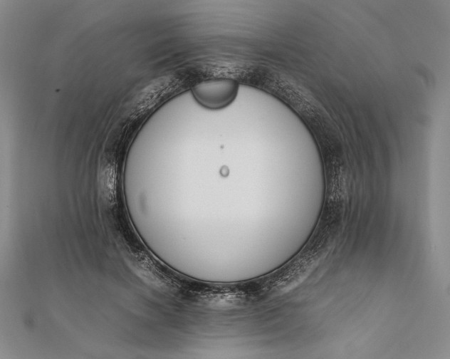 X0000111780646200908061116