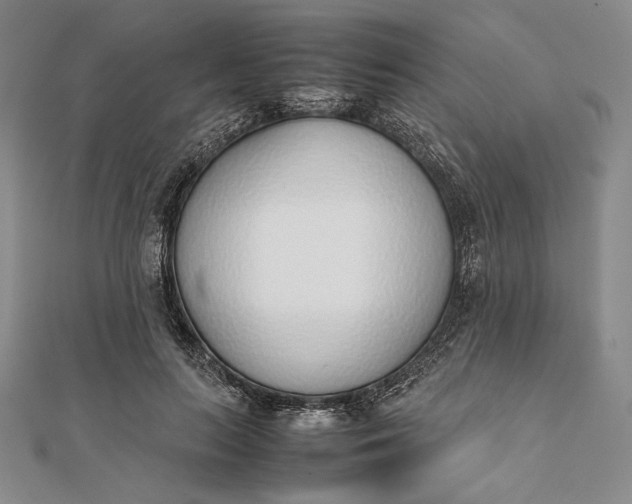 X0000111780647200908061116