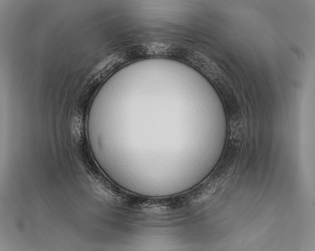 X0000111780648200908061116