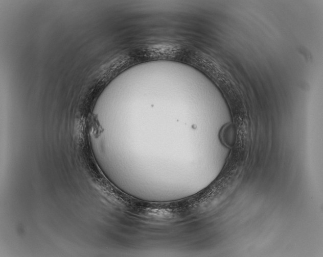 X0000111780649200908061116