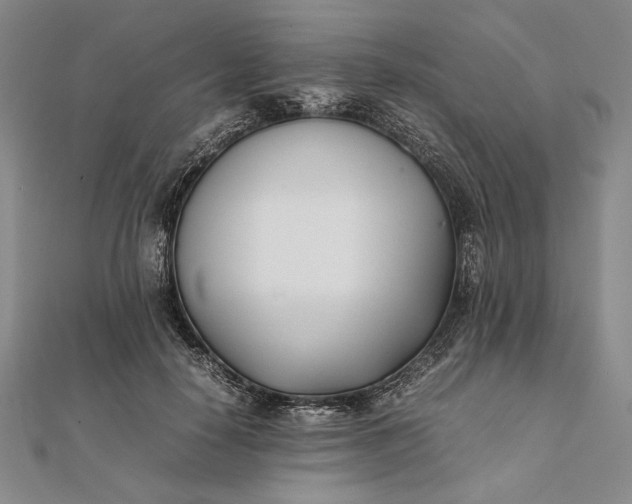 X0000111780650200908061116