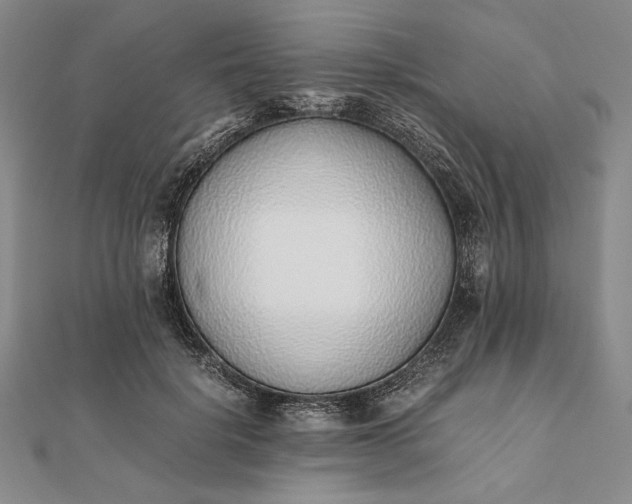 X0000111780652200908061116