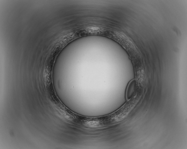 X0000111780653200908061116