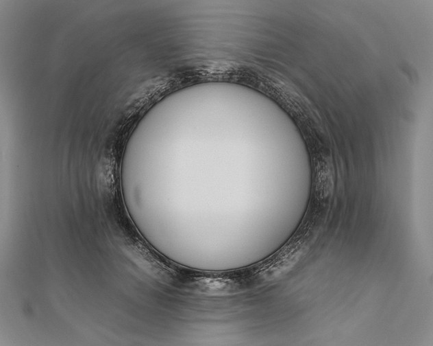 X0000111780654200908061116