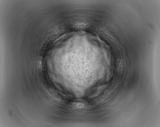 X0000111780655200908061116