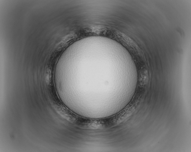 X0000111780656200908061116