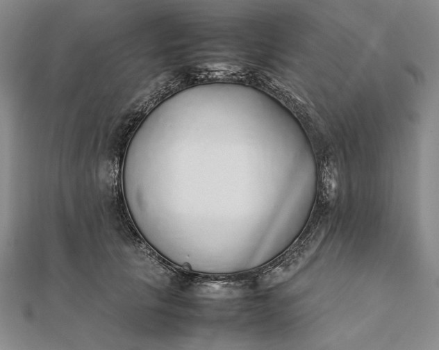 X0000111780657200908061116
