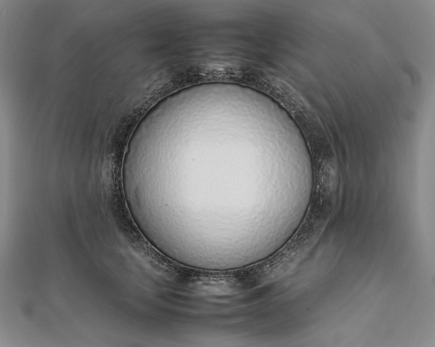 X0000111780659200908061116
