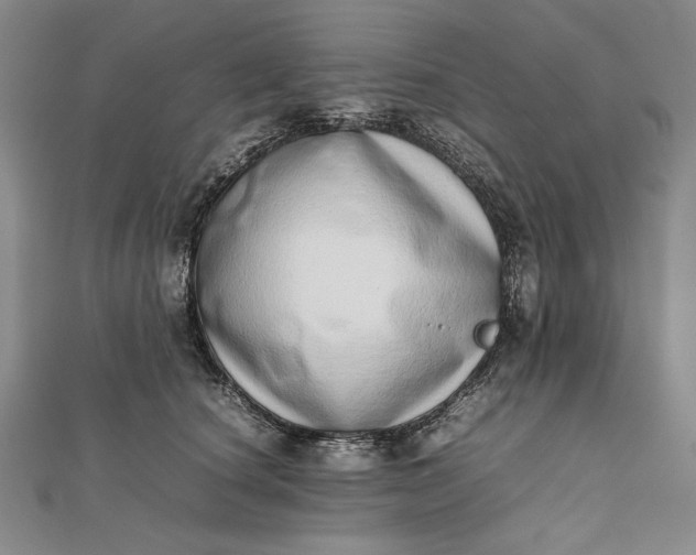X0000111780660200908061116