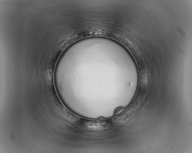 X0000111780661200908061116