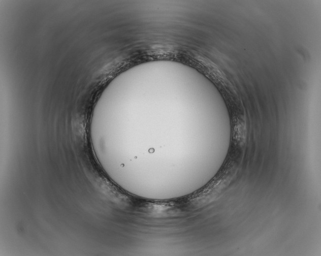 X0000111780662200908061116