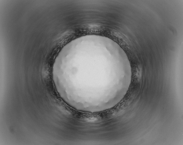 X0000111780663200908061116