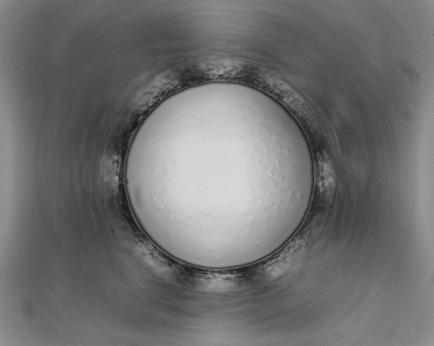 X0000111780664200908061116
