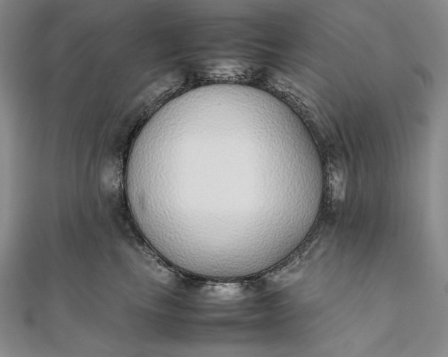 X0000111780665200908061116