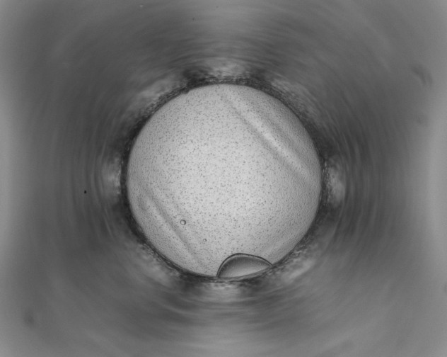 X0000111780668200908061116
