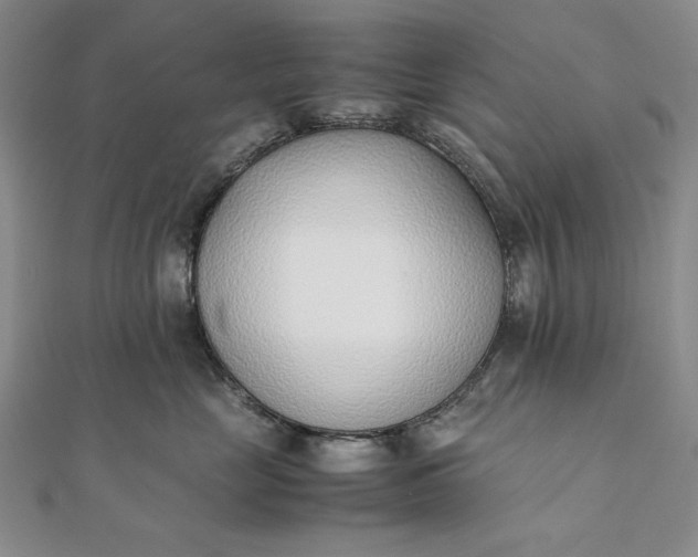 X0000111780669200908061116