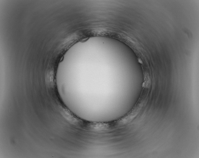 X0000111780670200908061116