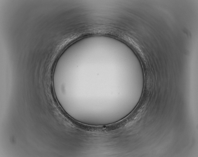X0000111780673200908061115