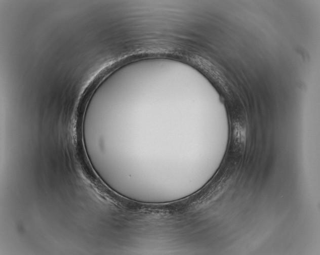 X0000111780676200908061115