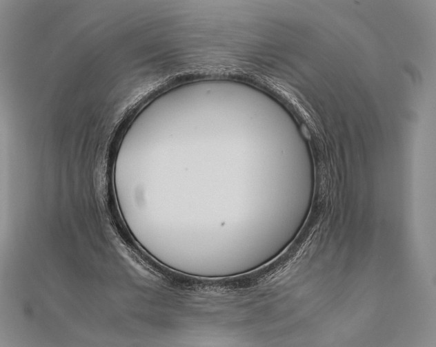X0000111780677200908061115