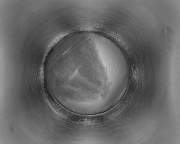 X0000111780678200908061115