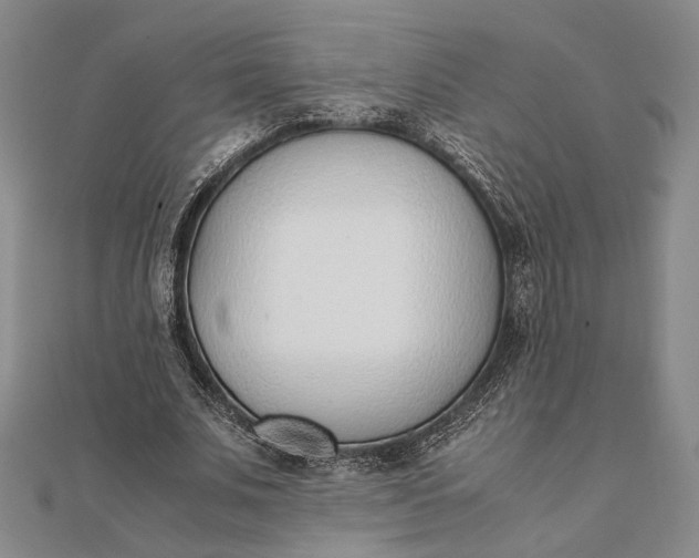 X0000111780679200908061115