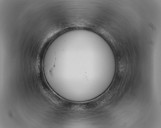 X0000111780680200908061115