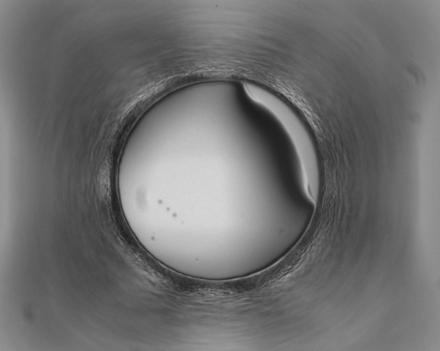 X0000111780681200908061115