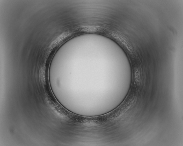 X0000111780682200908061115