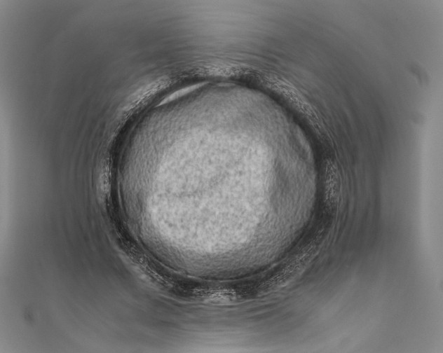 X0000111780683200908061115