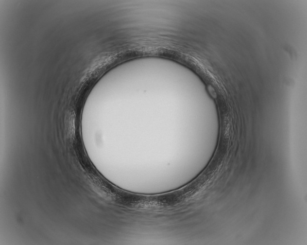 X0000111780685200908061115