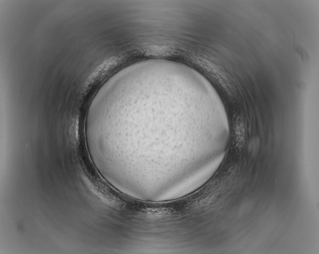 X0000111780686200908061115