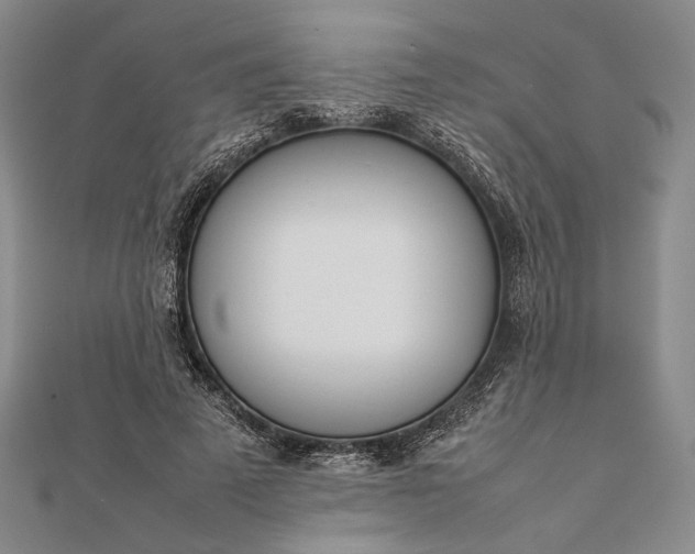 X0000111780689200908061115