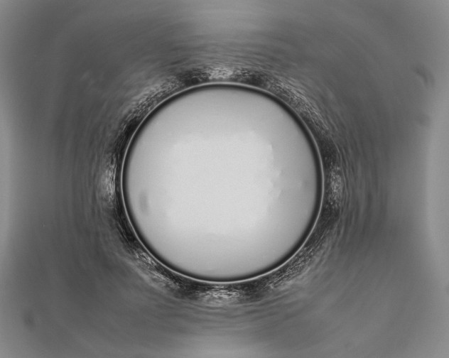 X0000111780691200908061115