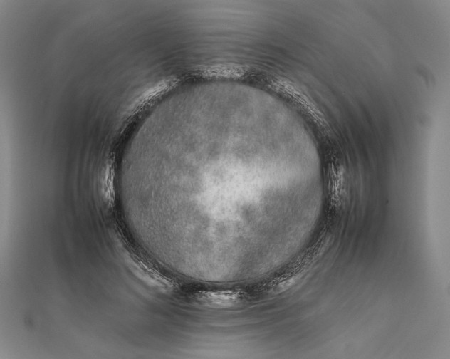 X0000111780692200908061115