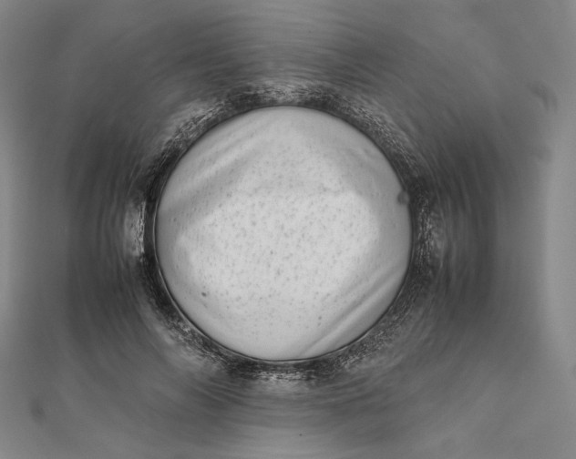 X0000111780694200908061115