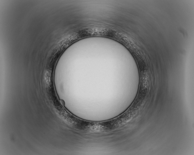 X0000111780695200908061115
