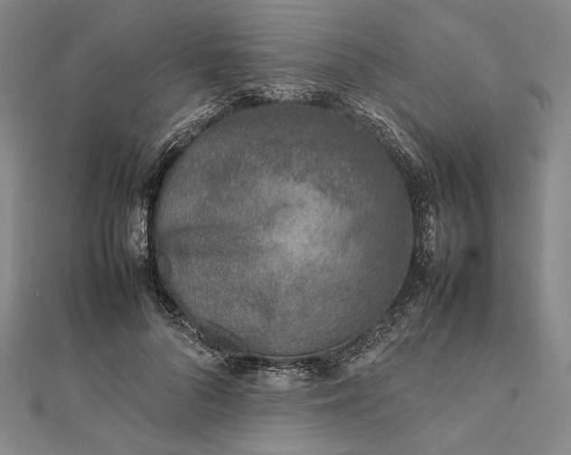 X0000111780696200908061115
