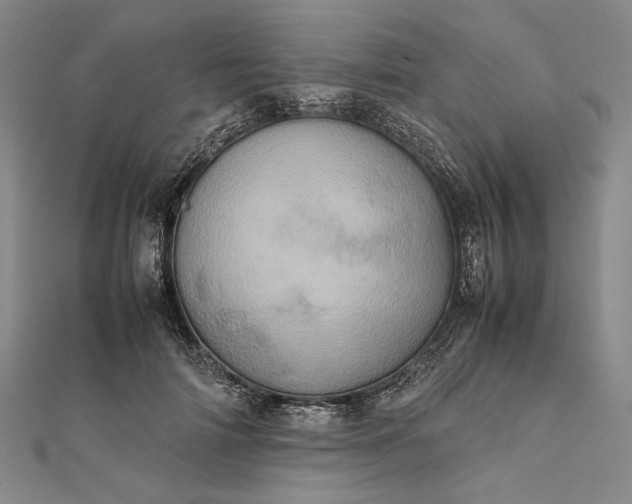 X0000111780698200908061115