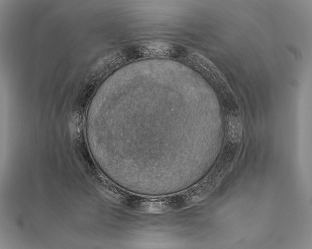 X0000111780701200908061115