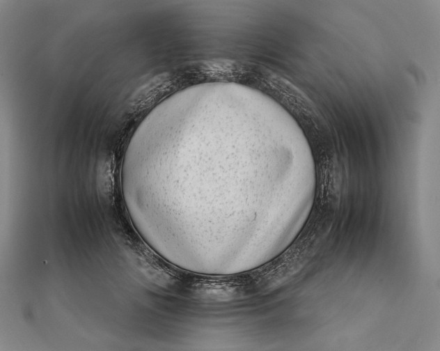 X0000111780702200908061115