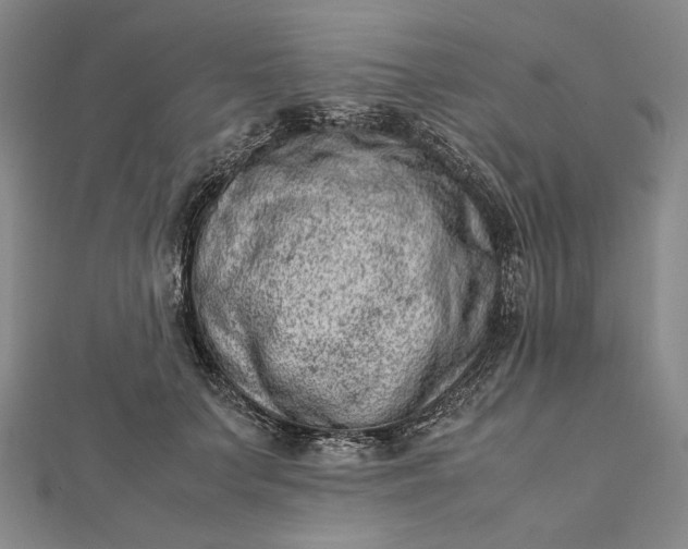 X0000111780703200908061115