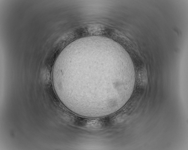 X0000111780705200908061115