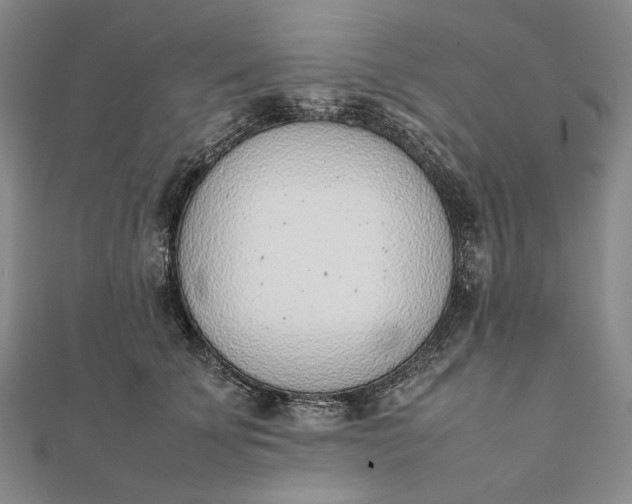 X0000111780707200908061115