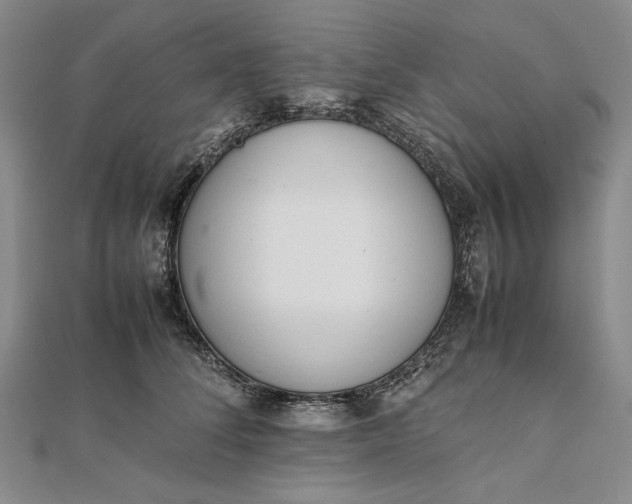 X0000111780708200908061115