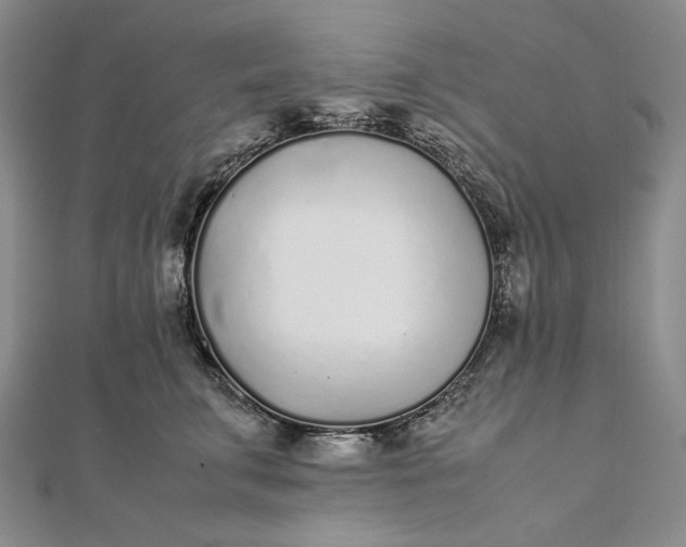 X0000111780711200908061115