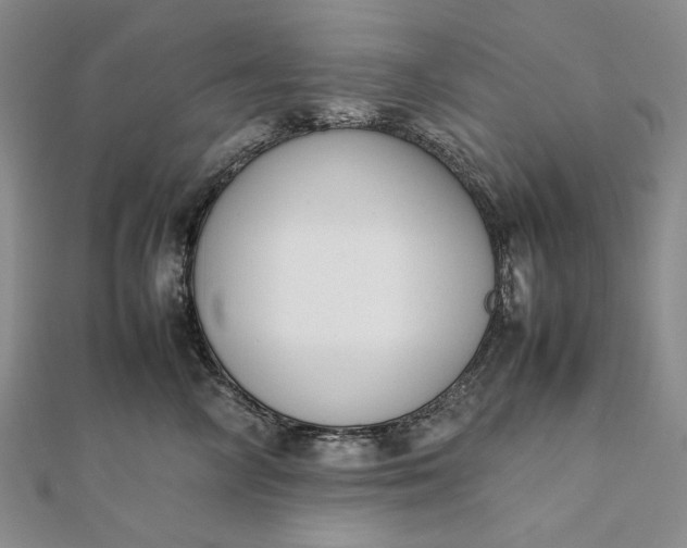 X0000111780714200908061115
