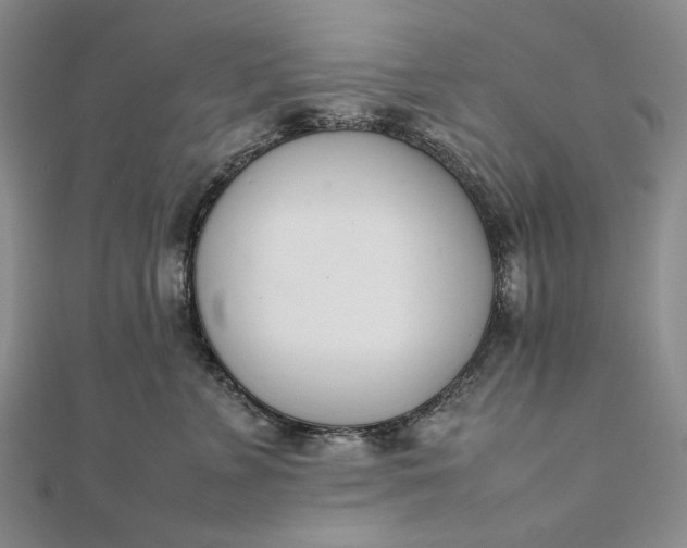 X0000111780715200908061115