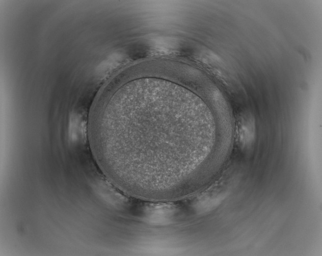 X0000111780716200908061115