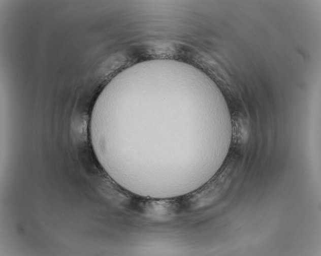 X0000111780717200908061115